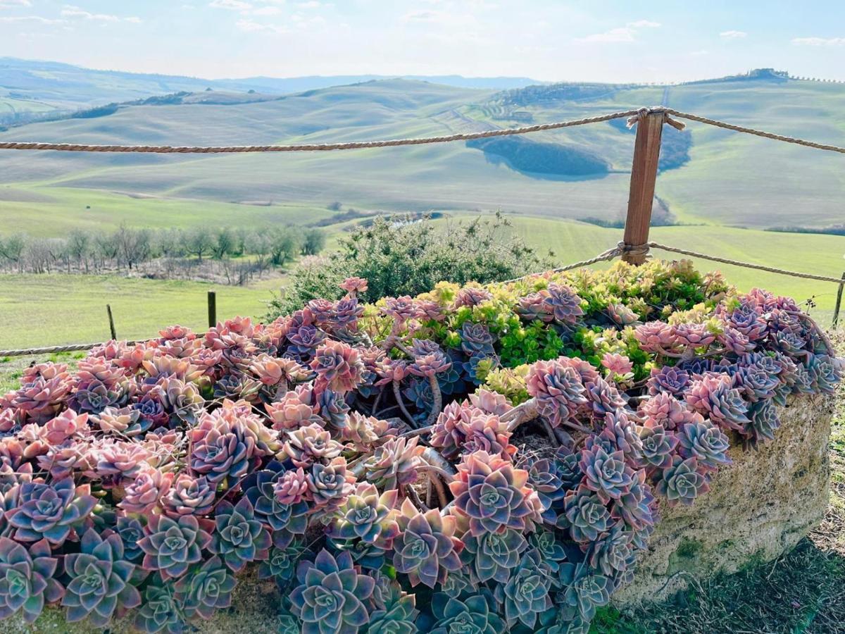 Apartamento Podere Poggio Salto Pienza Exterior foto