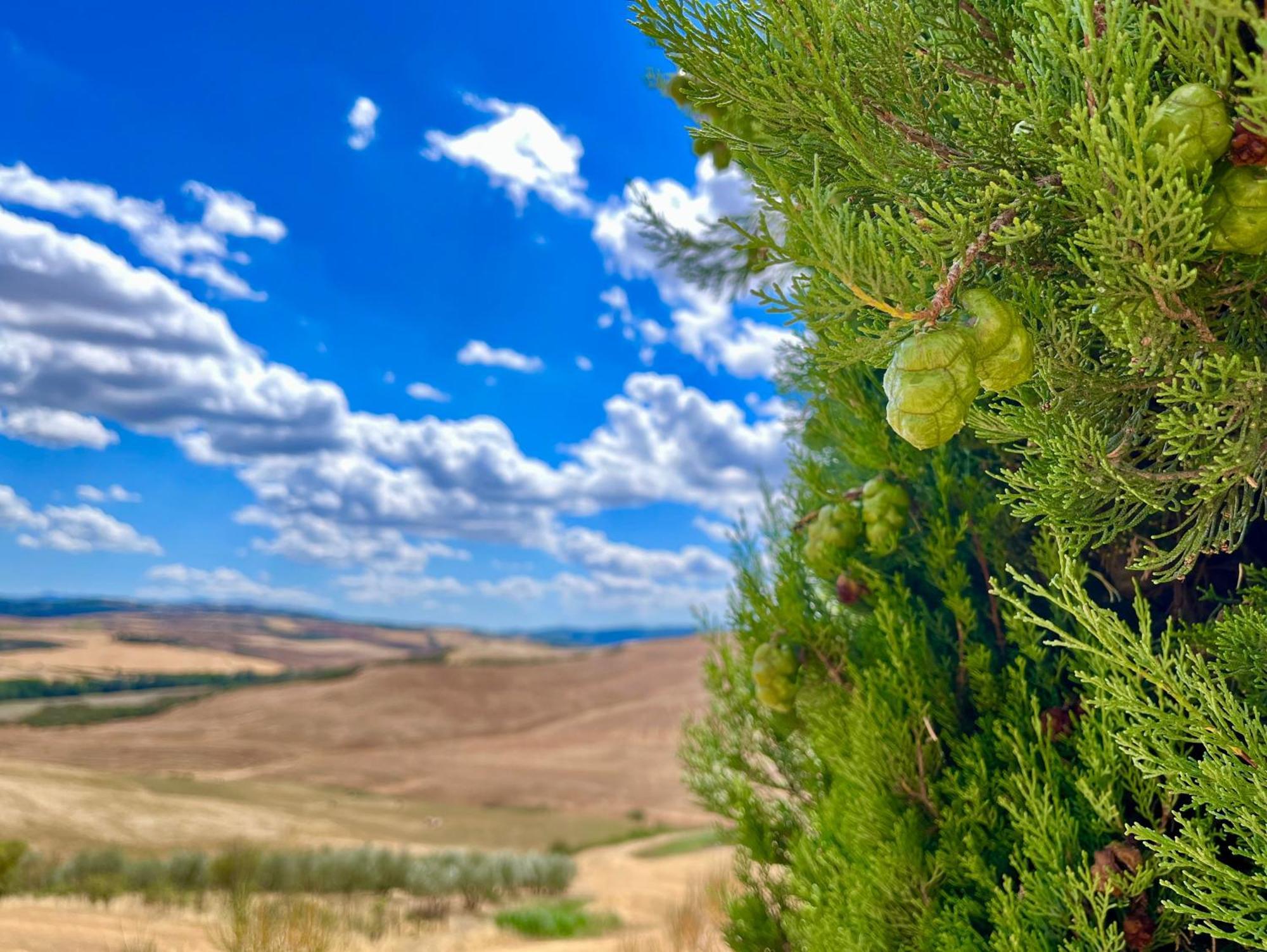 Apartamento Podere Poggio Salto Pienza Exterior foto