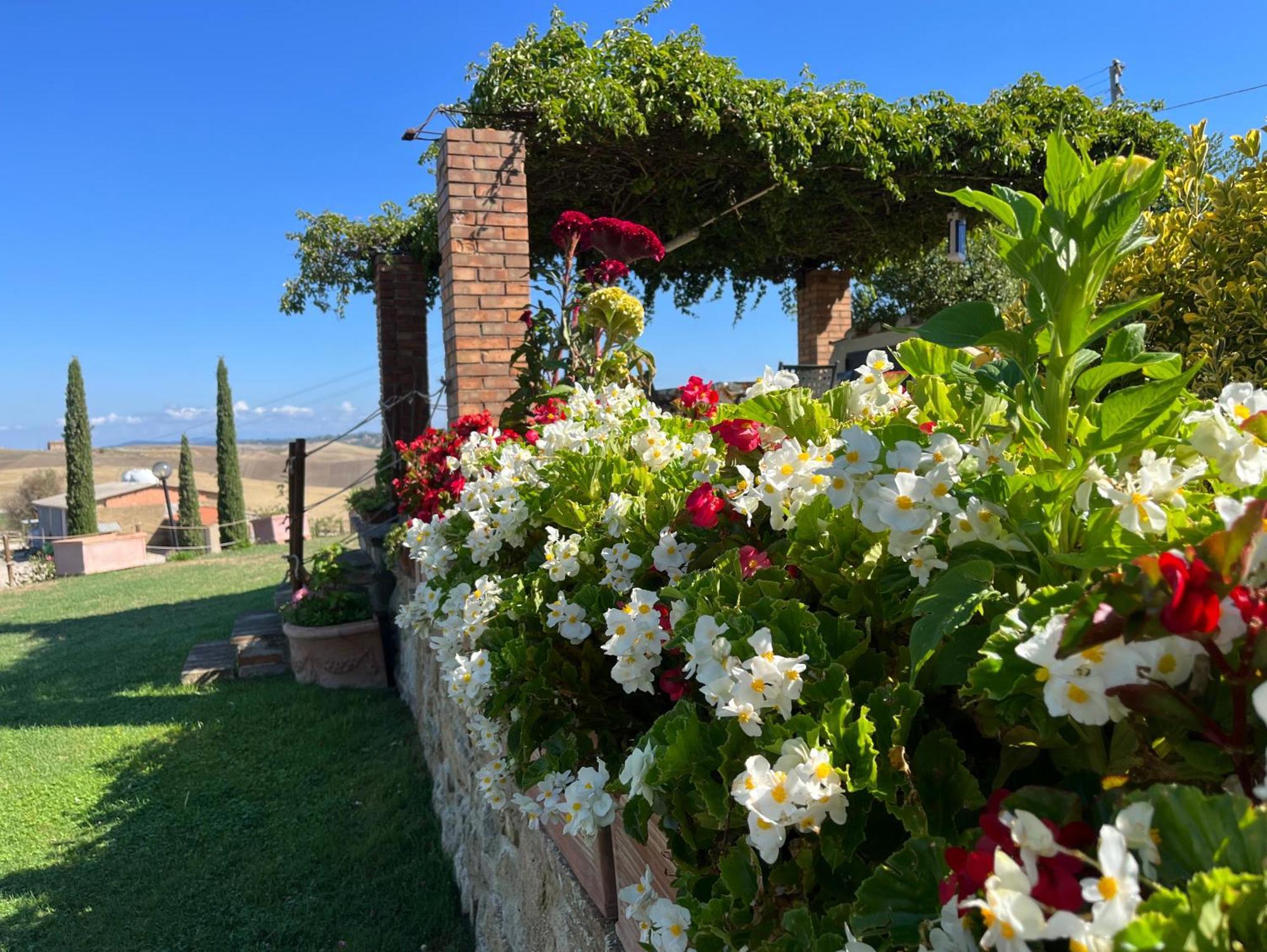 Apartamento Podere Poggio Salto Pienza Exterior foto